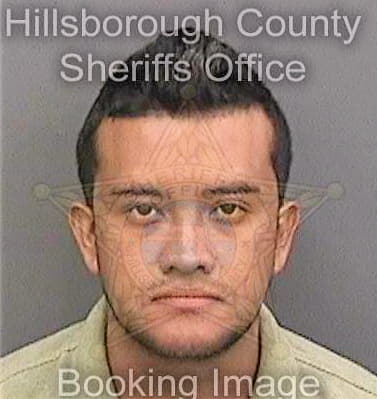 Leongaravito Jhon - Hillsborough County, FL 