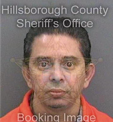 Gautam Vibhor - Hillsborough County, FL 