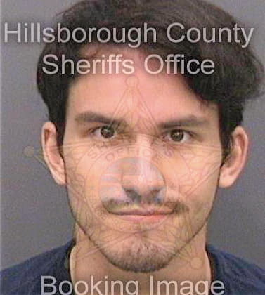 Beirne James - Hillsborough County, FL 