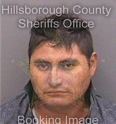 Diezperez Alejandro - Hillsborough County, FL 