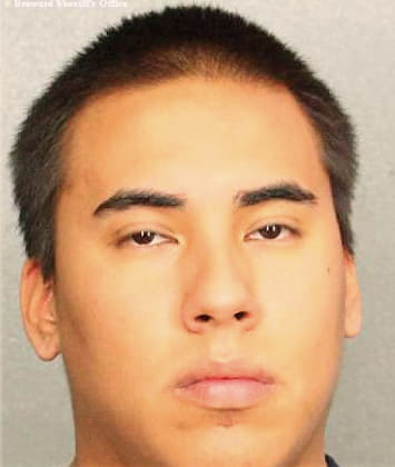 Angulo David - Broward County, FL 