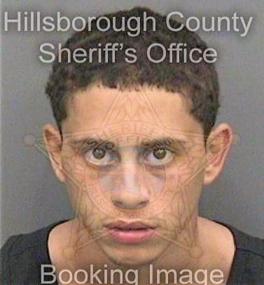 Lizardi Erick - Hillsborough County, FL 