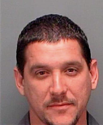 Dopico Lazaro - Pinellas County, FL 