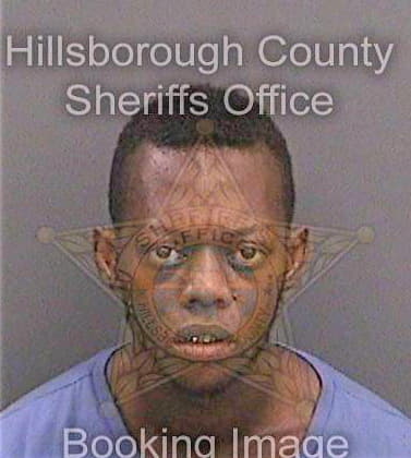 Blaylock Andre - Hillsborough County, FL 