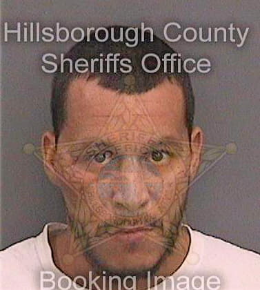 Garcia Christopher - Hillsborough County, FL 