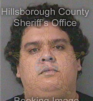 Marquez Dennis - Hillsborough County, FL 