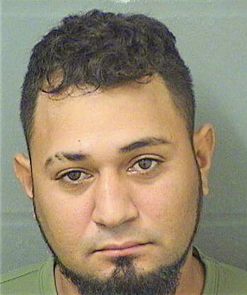 Mendoza Jose - PalmBeach County, FL 