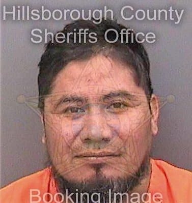 Perez Pedro - Hillsborough County, FL 