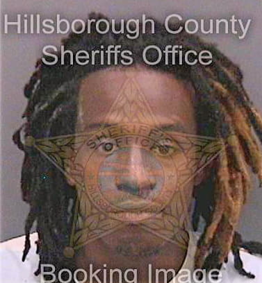 Majied Malik - Hillsborough County, FL 