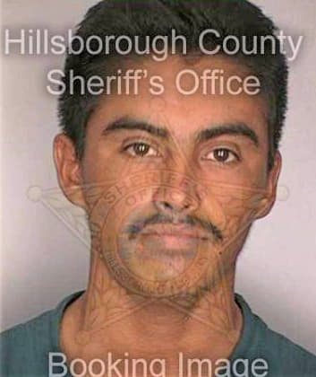 Perez Agustin - Hillsborough County, FL 