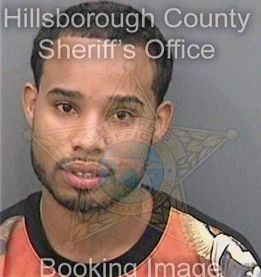 Ward Howard - Hillsborough County, FL 