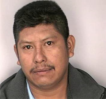 Silvatrevino Ricky - Hillsborough County, FL 