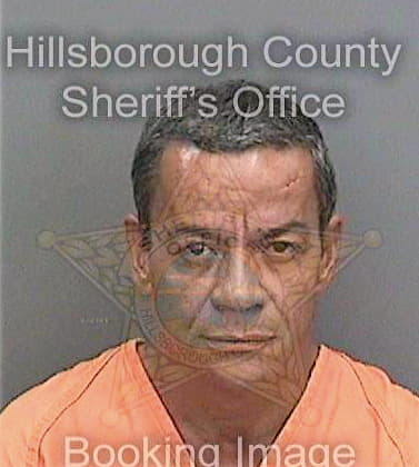 Ravelo Ovidio - Hillsborough County, FL 