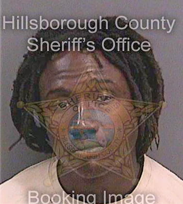 Michaud Jerry - Hillsborough County, FL 
