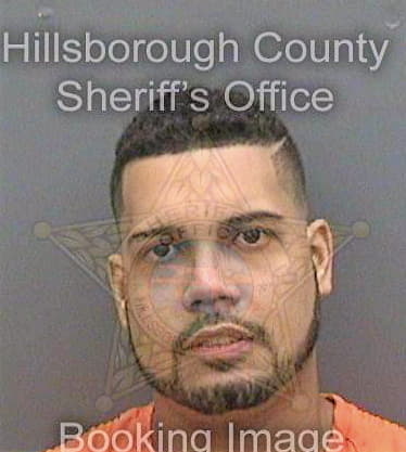 Ramosmorales Alberto - Hillsborough County, FL 