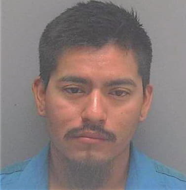 Jimenez Domingo - Lee County, FL 