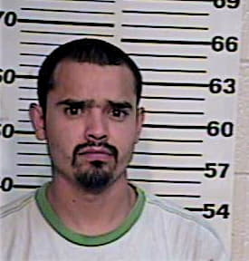 Ramirez Enrique - Hidalgo County, TX 