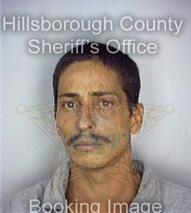 Fragoso Jesus - Hillsborough County, FL 