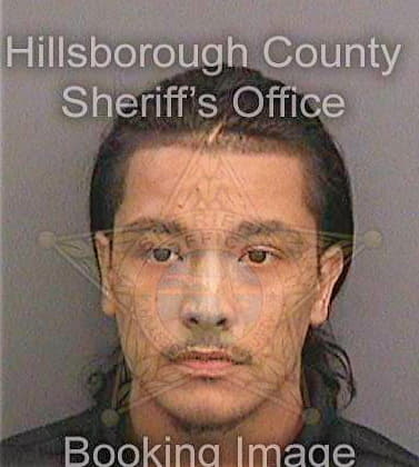 Mendez Miguel - Hillsborough County, FL 