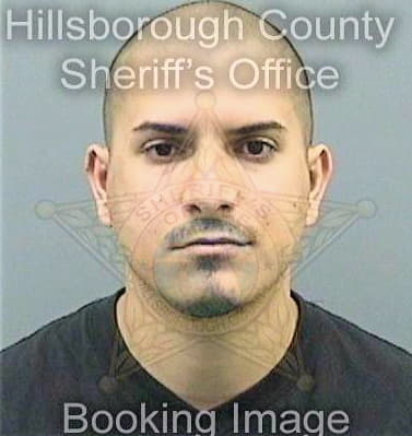 Santiagoandino Jeffrey - Hillsborough County, FL 