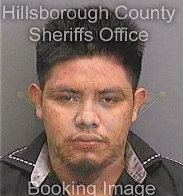 Carpinterohernandez Lisandro - Hillsborough County, FL 