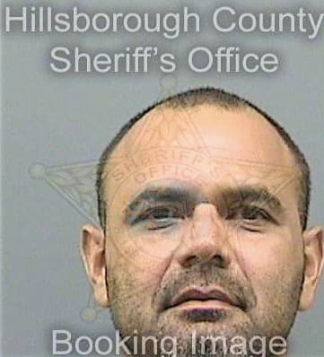 Garcia Luis - Hillsborough County, FL 