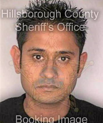 Patel Mitesh - Hillsborough County, FL 