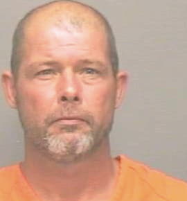 Mayes Steven - Montgomery County, TN 