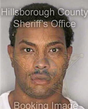 Mcfadden Albert - Hillsborough County, FL 