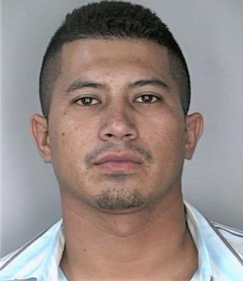 Bolivar Willie - Hillsborough County, FL 