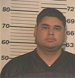 Gonzalez Alonso - Hidalgo County, TX 