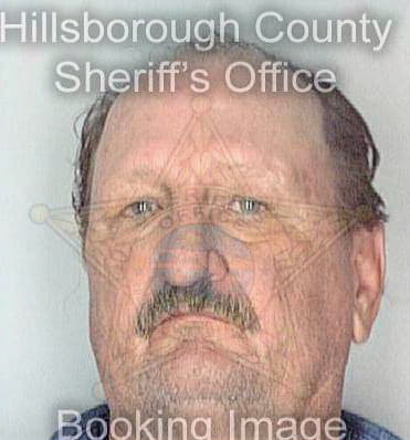 Mcelveen William - Hillsborough County, FL 