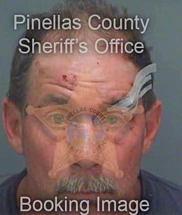 Hollis Lawrence - Pinellas County, FL 