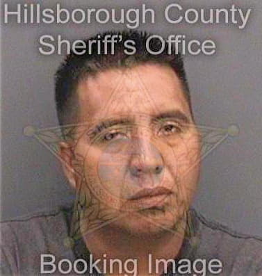 Perezgarcia Francisco - Hillsborough County, FL 