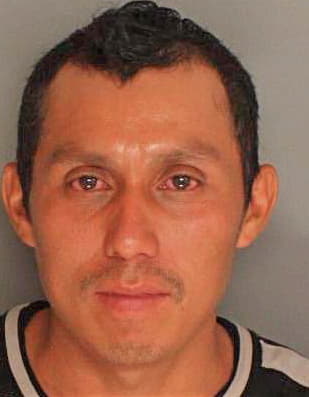 Hernandez Miguel - Berkeley County, SC 