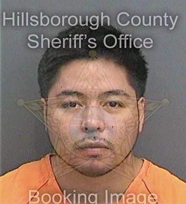 Sanchez Josue - Hillsborough County, FL 