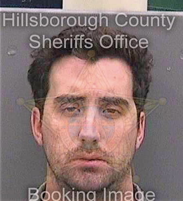 Phillips David - Hillsborough County, FL 