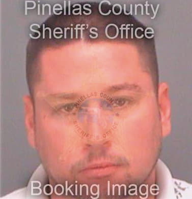 Bergland Michael - Pinellas County, FL 