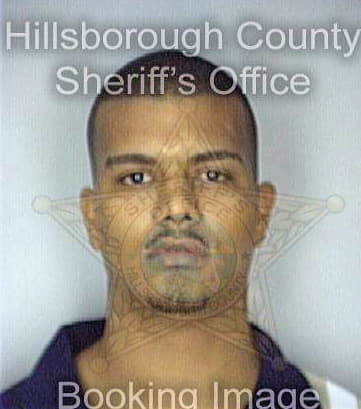 Rivera Daniel - Hillsborough County, FL 