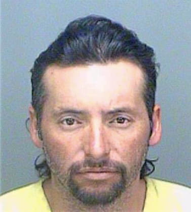 Hernandez Gerardo - Pinellas County, FL 