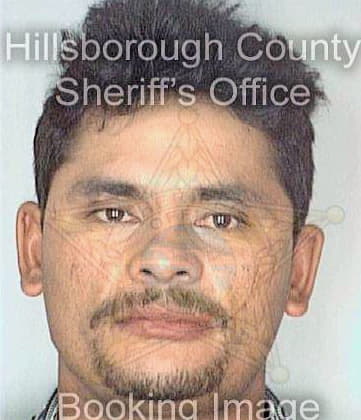 Juarez Luis - Hillsborough County, FL 