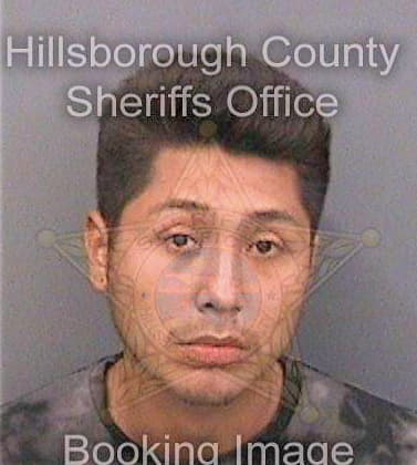 Maldonado Ricardo - Hillsborough County, FL 