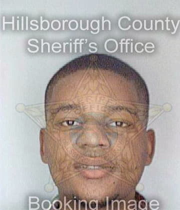 Hollowman Aaron - Hillsborough County, FL 