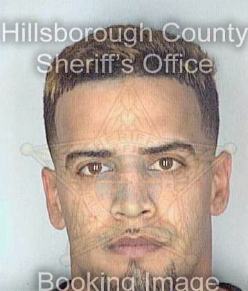 Navarez Roberto - Hillsborough County, FL 