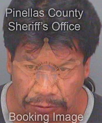 Mendoza Tomas - Pinellas County, FL 