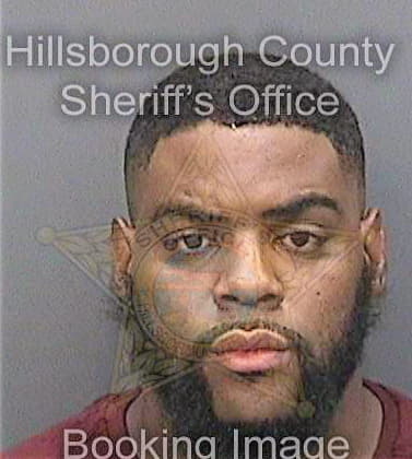 Boykins Deangelo - Hillsborough County, FL 