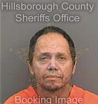 Mercadojaiman Alcides - Hillsborough County, FL 