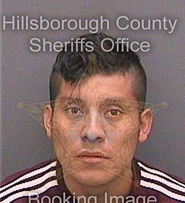 Diazgabriel Neftali - Hillsborough County, FL 