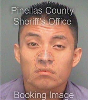 Bautista David - Pinellas County, FL 