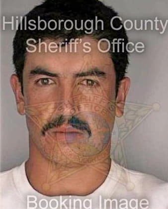 Gonzalez Juan - Hillsborough County, FL 